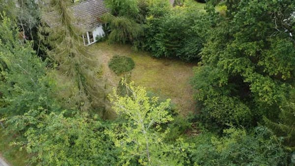 Immobilie in Soderstorf - Kernsanieren oder neu bauen? Kleiner Bungalow auf Traumgrundstück. - Bild 0