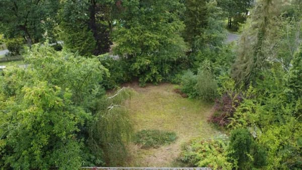 Immobilie in Soderstorf - Kernsanieren oder neu bauen? Kleiner Bungalow auf Traumgrundstück. - Bild 3