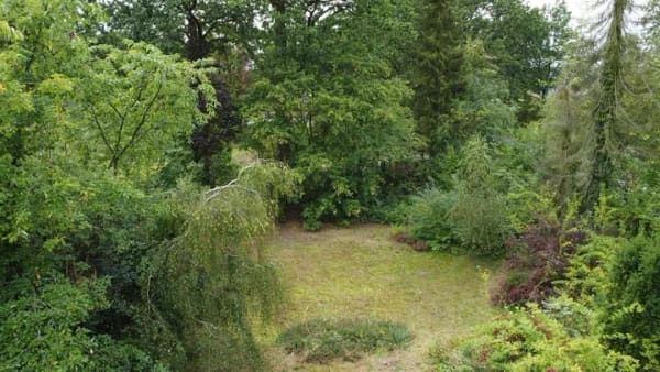 Immobilie in Soderstorf - Kernsanieren oder neu bauen? Kleiner Bungalow auf Traumgrundstück. - Bild 4