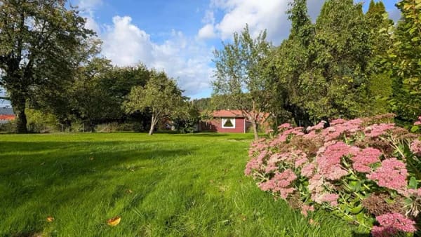 Immobilie in Reinhardshagen - Platz ist da! Wohnhaus (inkl. Einliegerwohnung) mit traumhaftem Garten und zwei Wintergärten - Bild 3