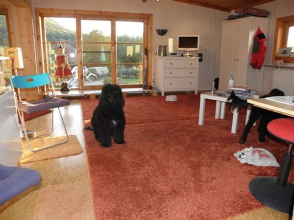 Immobilie in Bad Wildungen - Holzhaus - Blockbohlenhaus - Bild 4