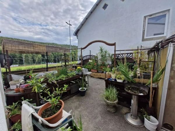 Immobilie in Regen - Mehrfamilienhaus in Regen - Bild 3