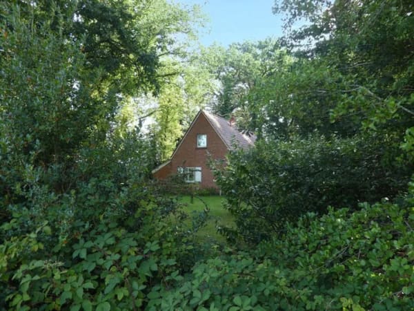 Immobilie in Uelsen - Einfamilienhaus freistehend in Uelsen - Bild 3
