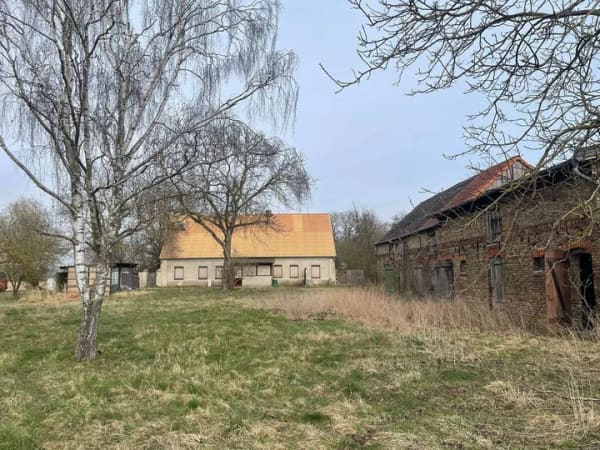 Immobilie in Küstriner Vorland - alter Bauernhof in absoluter Alleinlage mit Potential - Alleinlage - - Bild 1