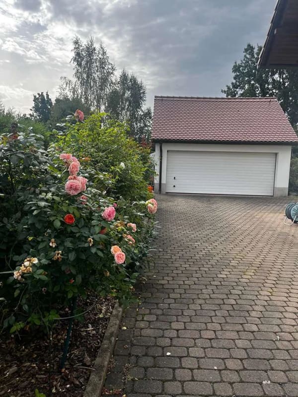 Immobilie in Mügeln - Attraktives EFH in rughiger Lage - sofort bezugsfertig - Bild 3
