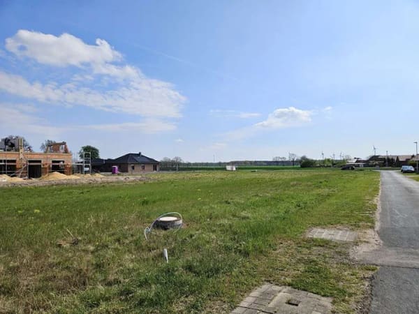 Immobilie in Leese - Mit Grundstück, das clevere Raumwunder 100 in Leese. - Bild 2