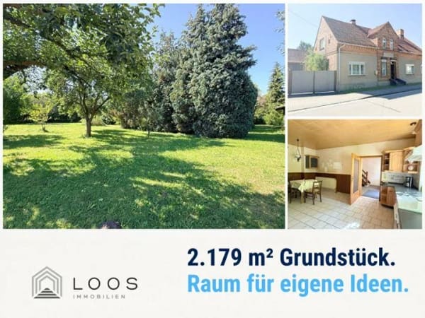 Immobilie in Heideblick - Haus in Luckau (Fürstlich Drehna) - Bild 0