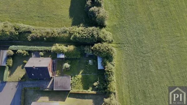 Immobilie in Groß Wittensee - Sonnige Aussichten in Groß Wittensee: Einfamilienhaus mit Süd-West-Terrasse am Feldrand - Bild 3