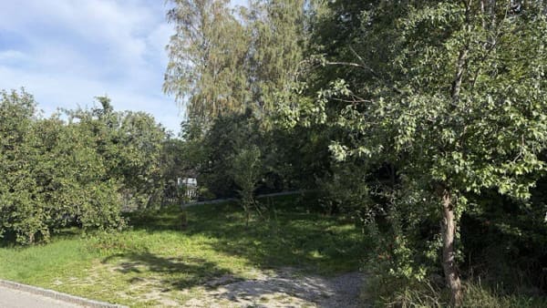 Immobilie in Kollnburg - Sanierungsbedürftiges Wohnhaus mit großem Grundstück - Bild 3