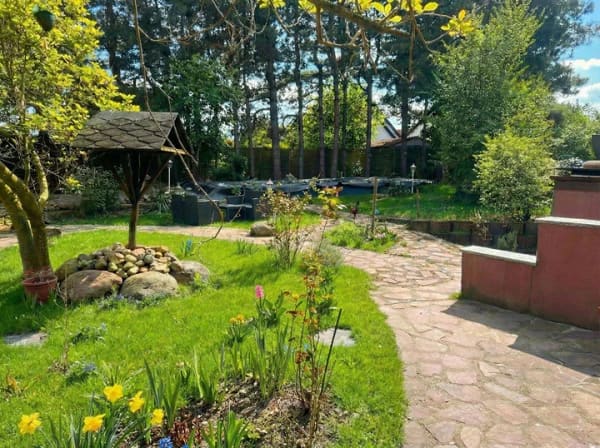 Immobilie in Gräfenhainichen - Großzügiges Einfamilienhaus mit Pool, parkähnlichem Grundstück - Bild 1