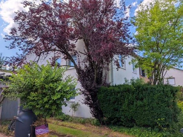 Immobilie in Grasbrunn - Neukeferloh - stadtnah wohnen, im Grünen leben - Bild 2