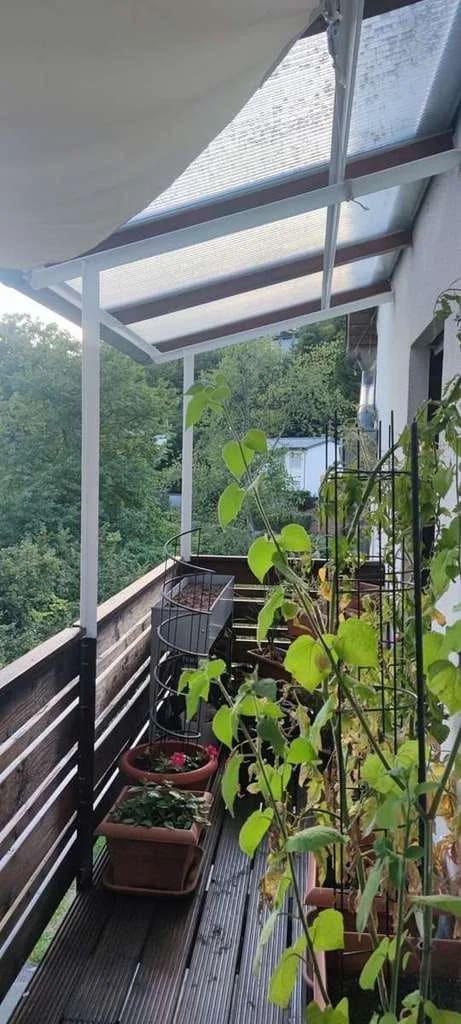 Immobilie in Wilhelmsfeld - Pure Idylle – ruhig und doch Zentral zu HD – Waldrandlage – Balkon - PKW Stellplatz - Bild 1