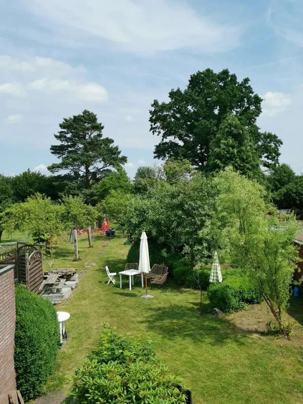 Immobilie in Hamfelde - Haus mit großem Bauerngarten auf ca. 1.200 m² Grundstück - Hamfelde Krs. Hzgt. Lauenburg bei Trittau - Bild 4