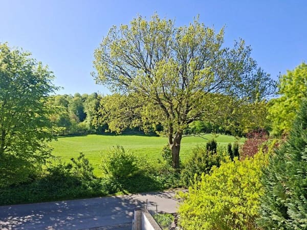 Immobilie in Ascheffel - Gemütliches Eigenheim in Feld-/Waldrandlage - Bild 4