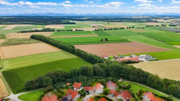 Immobilie in Penzing - Einfamilienhaus freistehend in Penzing - Bild 4