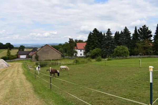 Immobilie in Moringen - Repräsentatives Landhaus mit 1,2ha Weidefläche - Bild 2