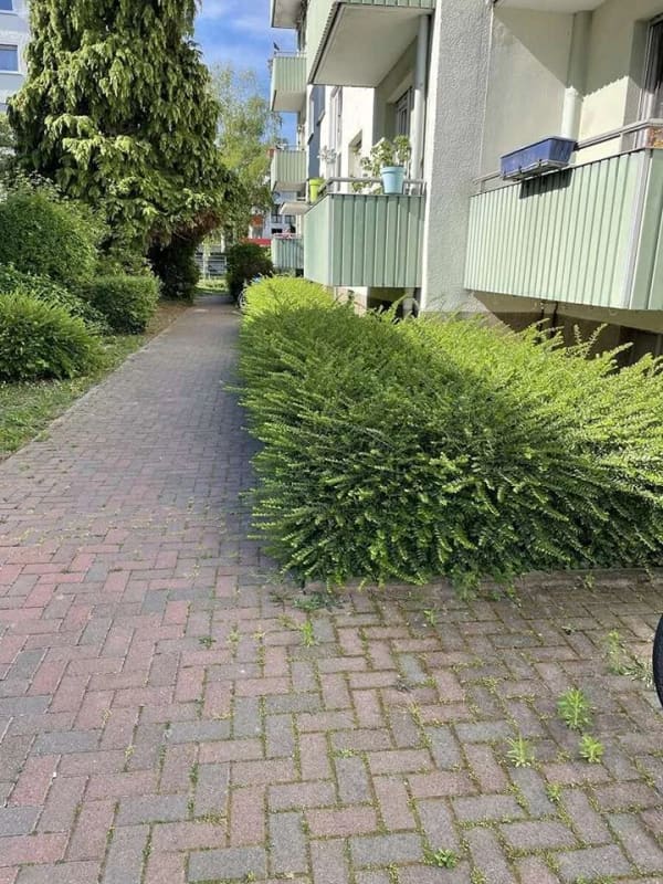 Immobilie in Oppenheim - Gepflegte 2 ZKB-ETW mit Balkon in Grünlage! - Bild 1