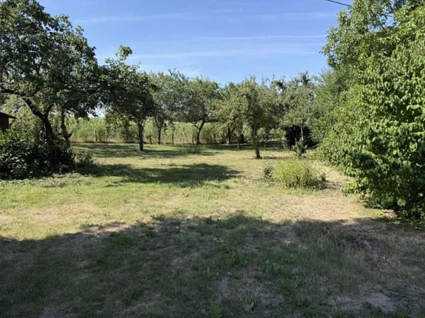 Immobilie in Althütte - EG-Wohnung mit 1388qm großem Garten in Randlage von Sechselberg - Bild 2