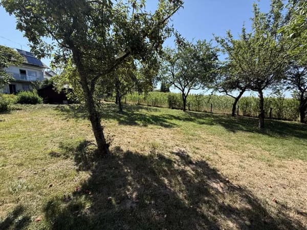 Immobilie in Althütte - EG-Wohnung mit 1388qm großem Garten in Randlage von Sechselberg - Bild 4