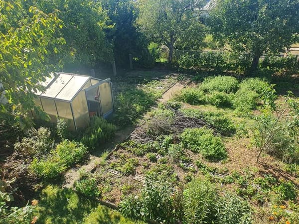 Immobilie in Linden - Attraktives Haus mit zwei Wohnungen und schönem Garten - Bild 3