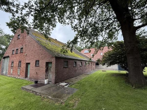 Immobilie in Barßel - Ehemalige Hofstelle, modern saniert mit 3 Wohneinheiten - Bild 4