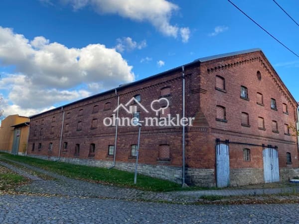 Immobilie in Nienburg (Saale) - Herrschaftliches Wohnhaus mit landwirtschaftlichen Gebäuden - Bild 1