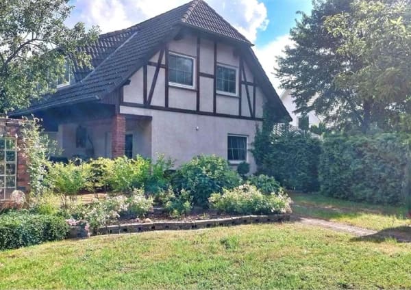 Immobilie in Raddestorf - Schönes Wohnambiente und großes Grundstück - Einfamilienhaus in Kreuzkrug! - Bild 3
