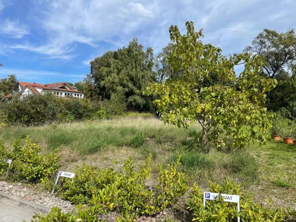 Immobilie in Murg - Mehrfamilienhaus auf großem Grundstück am Rhein- attraktive Kapitalanlage mit Entwicklungspotenzial - Bild 4