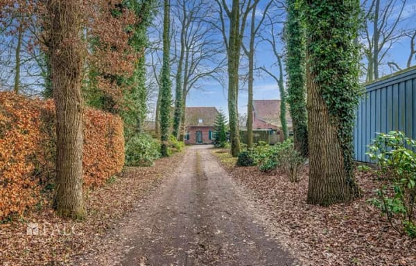 Immobilie in Wiefelstede - Resthof mit Scheune und über 10.000 m² Grundstück – attraktives Entwicklungspotenzial in Wiefelstede - Bild 2