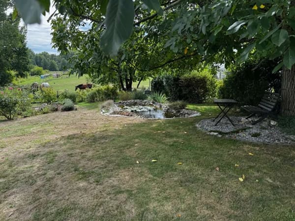 Immobilie in Dielheim - Ruhe, Natur und viel Platz – Einfamilienhaus in idyllischer Lage - Bild 3