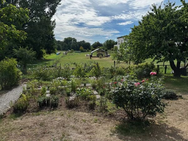 Immobilie in Dielheim - Ruhe, Natur und viel Platz – Einfamilienhaus in idyllischer Lage - Bild 4