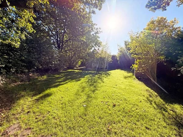 Immobilie in Horst - Freistehend & großzügig - Einfamilienhaus auf idyllischem Grundstück - Bild 3