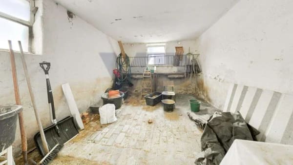Immobilie in Saalburg-Ebersdorf - PROVISIONSFREI* – Wenn ein großer Garten einfach nicht groß genug ist: Hof mit 2,5 Hektar! - Bild 3