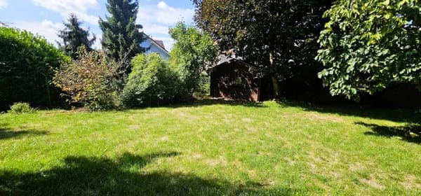 Immobilie in Langenselbold - Ein Zuhause mit Geschichte. 
Bereit für die nächste Generation.
Über 165m² Wohnfläche in gefragter - Bild 3