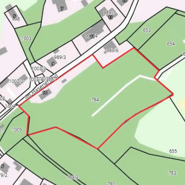 Immobilie in Thannhausen - Einzigartiges A-Frame Haus auf 6.000 m² Grund – Gastro, Wohnen oder Traum-Neubau nahe Augsburg! - Bild 1