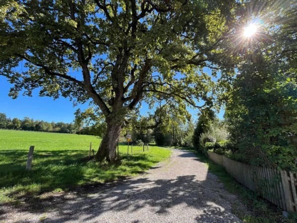 Immobilie in Bad Tölz - IHR KLEINES HAUS IM HAUS! - 2,5- ZIMMER-TERRASSENWOHNUNG - Bild 3