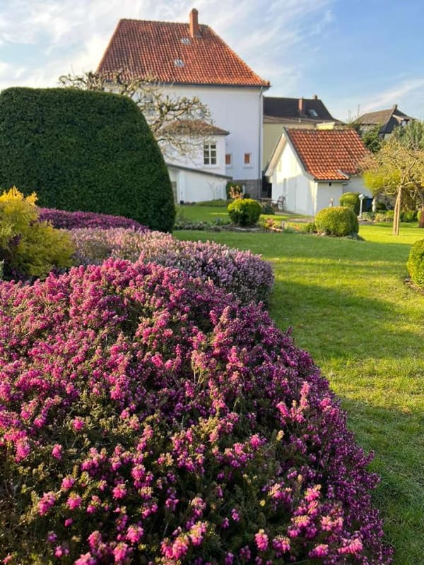 Immobilie in Elze - Stadtvilla mit Ausbaureserve und vielfältiger Entwicklungsperspektive - Bild 2