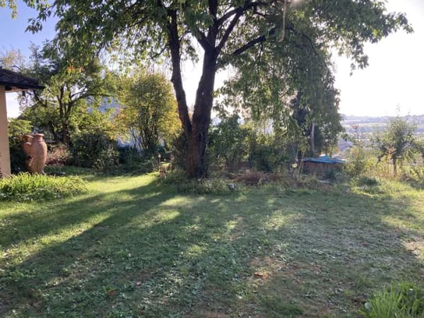 Immobilie in Oettingen i.Bay. - Viel Freiraum: Großzügiges Einfamilienhaus in Lehmingen - Bild 4