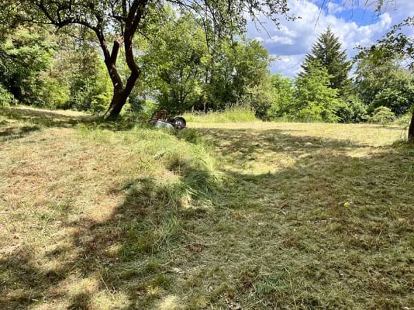 Immobilie in Weischlitz - 5.500 m² wildromantisches Grundstück mit historischem Holzhaus in Weischlitz - Bild 0