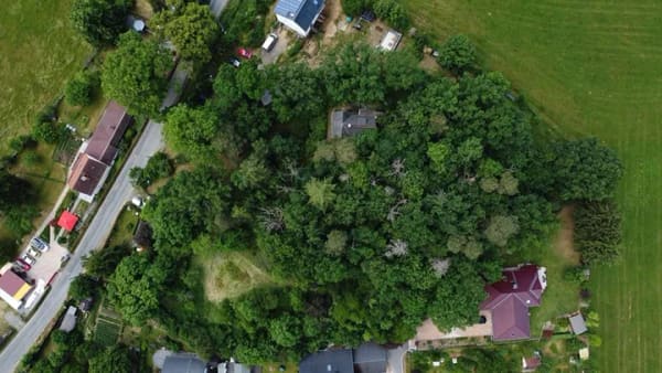 Immobilie in Weischlitz - 5.500 m² wildromantisches Grundstück mit historischem Holzhaus in Weischlitz - Bild 1
