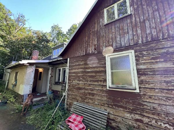 Immobilie in Weischlitz - 5.500 m² wildromantisches Grundstück mit historischem Holzhaus in Weischlitz - Bild 3