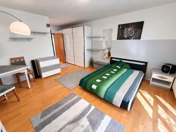 Immobilie in Regen - 1-Zimmer-Wohnung mit Terrasse, separater Küche und Tiefgaragenstellplatz in Regen  - Bild 1