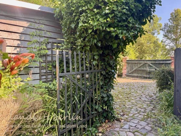 Immobilie in Letschin - Landhaus, Ateliergebäude und schön angelegter Garten am Dorfrand, unweit der Oder und einer Badestelle - Bild 2