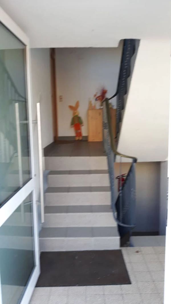 Immobilie in Mackenbach - Mackenbach - Gepflegtes Mehrfamilienhaus - Bild 1