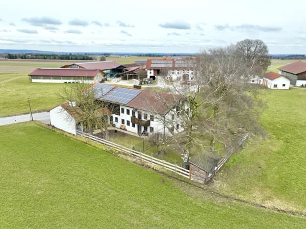 Immobilie in Taufkirchen - Tierpension: Anwesen mit großzügigen 310 m² Wohnfläche und 866 m² Grundstück - Bild 3