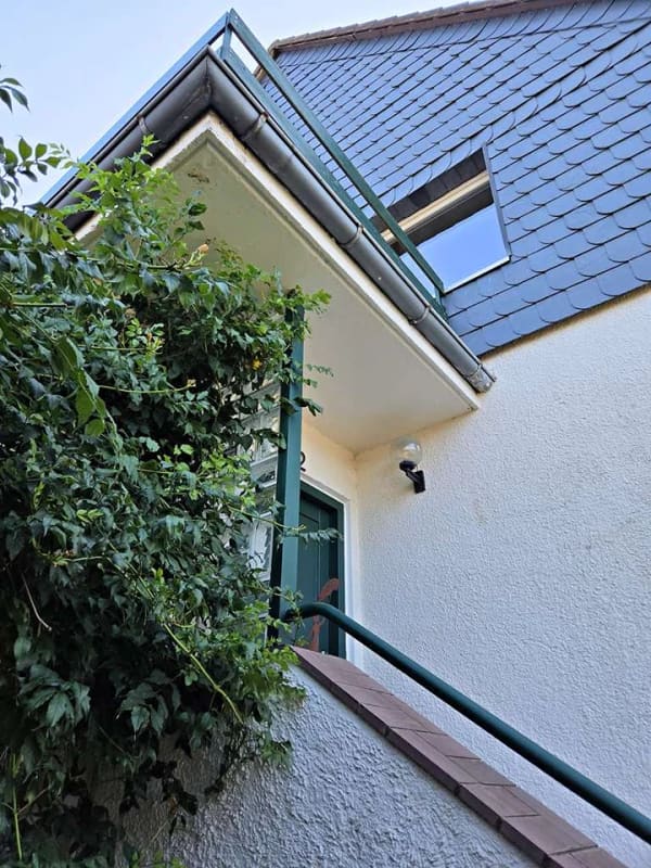 Immobilie in Vordorf - Licht, Raum & Rendite: großzügiges Einfamilienhaus mit Nebengebäude und flexiblen Mieteinnahmen - Bild 3