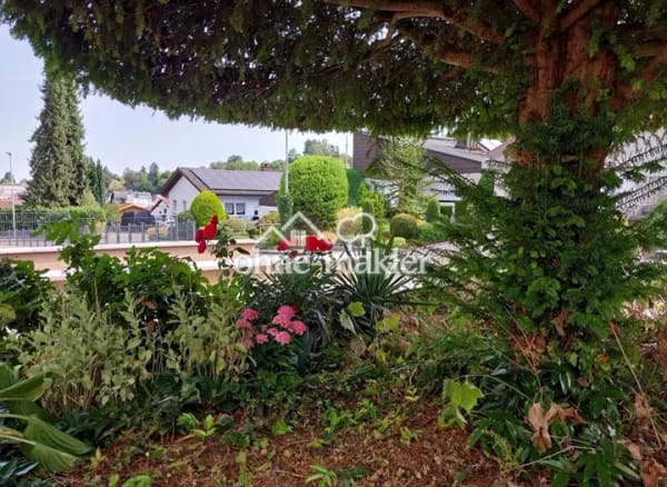 Immobilie in Kippenheim - Einfamilienhaus freistehend in Kippenheim - Bild 1
