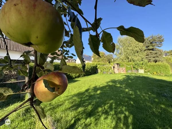 Immobilie in Münsterhausen - Ein Zuhause zum Weitergestalten – viel Platz, Garten & große Scheune - *Käuferprovisionsfrei* - Bild 3
