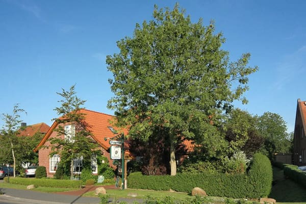 Immobilie in Neuharlingersiel - Neuharlingersiel! Für alle, die es etwas größer wollen - Bild 2