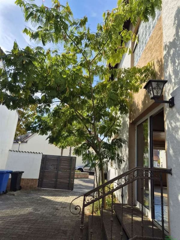 Immobilie in Weisenheim am Sand - Wohnhaus mit schönem Garten, Garage, Schuppen und Sauna - Bild 2